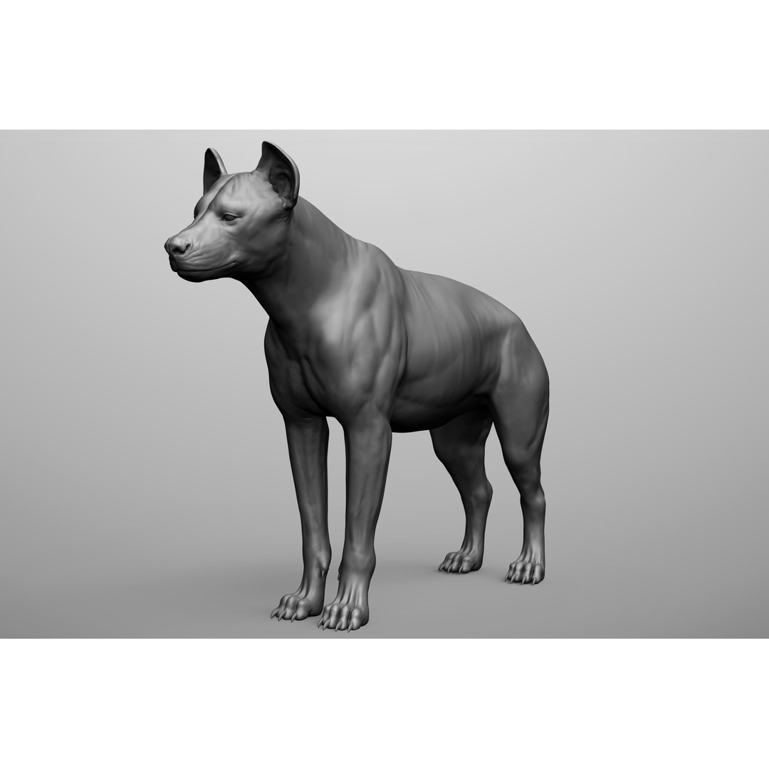 Wild Animal Collection 3D Model – Realistic Sculpted Animals, OBJ & ZTL - View 43