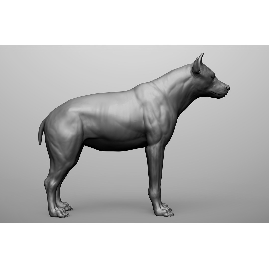 Wild Animal Collection 3D Model – Realistic Sculpted Animals, OBJ & ZTL - View 44