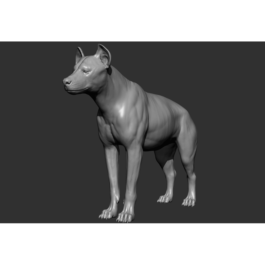 Wild Animal Collection 3D Model – Realistic Sculpted Animals, OBJ & ZTL - View 45