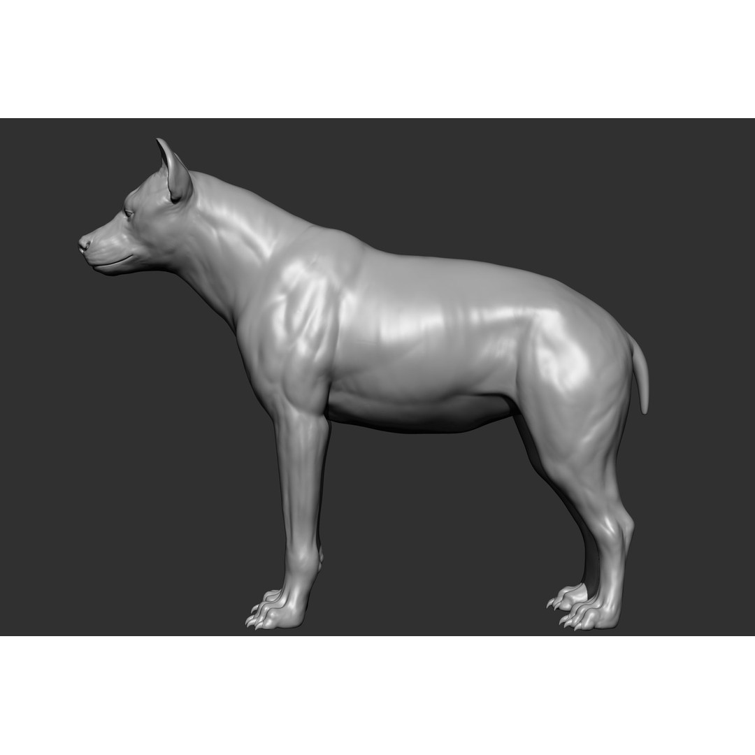 Wild Animal Collection 3D Model – Realistic Sculpted Animals, OBJ & ZTL - View 48