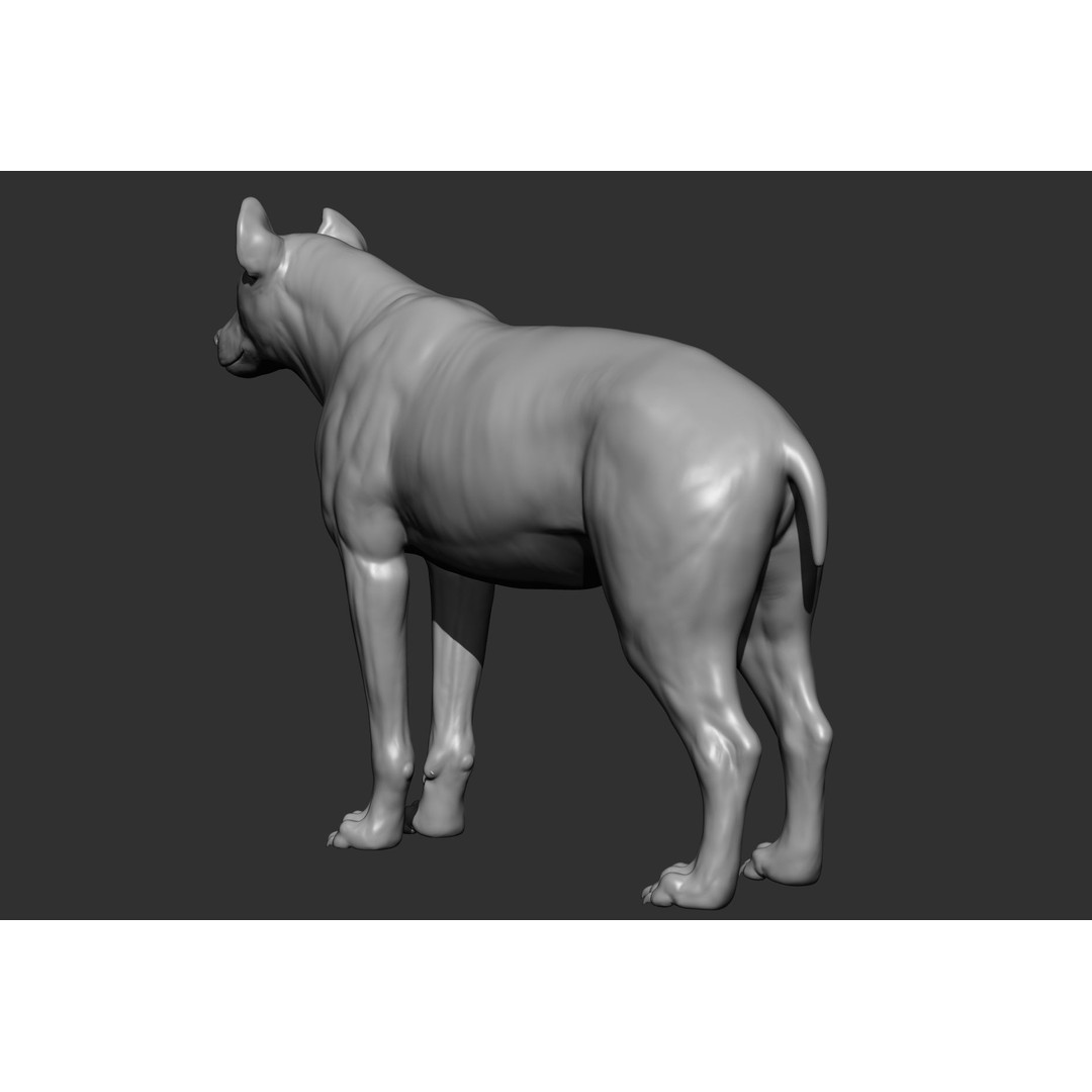 Wild Animal Collection 3D Model – Realistic Sculpted Animals, OBJ & ZTL - View 49