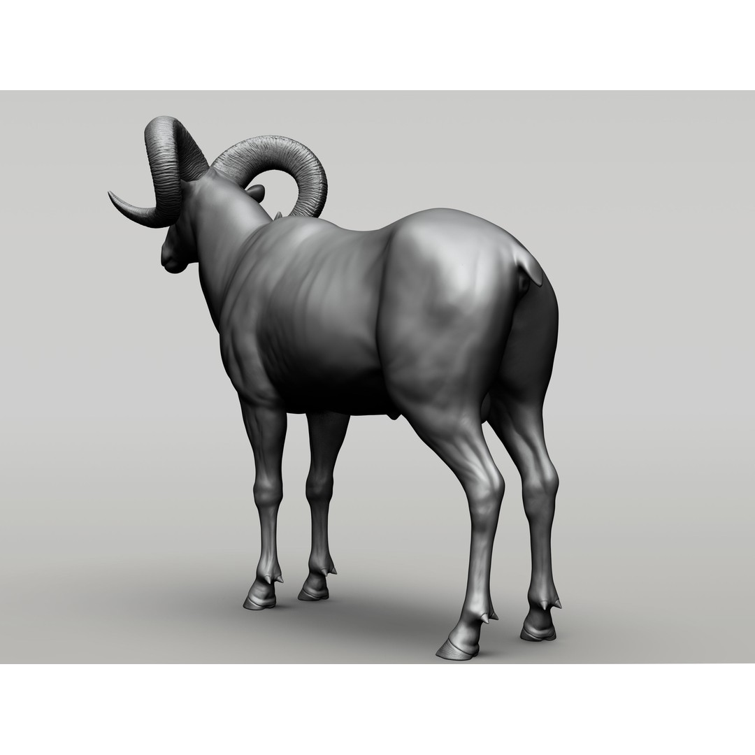 Wild Animal Collection 3D Model – Realistic Sculpted Animals, OBJ & ZTL - View 5