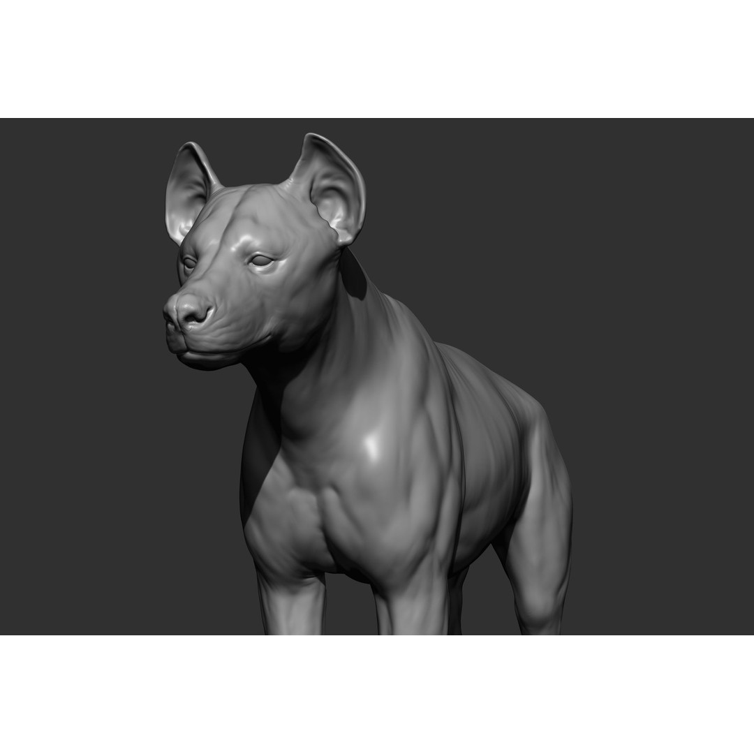 Wild Animal Collection 3D Model – Realistic Sculpted Animals, OBJ & ZTL - View 50