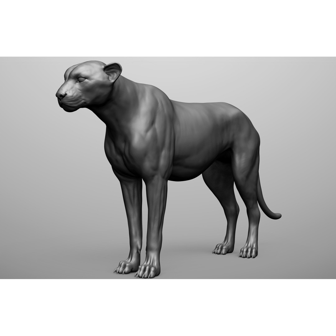 Wild Animal Collection 3D Model – Realistic Sculpted Animals, OBJ & ZTL - View 51