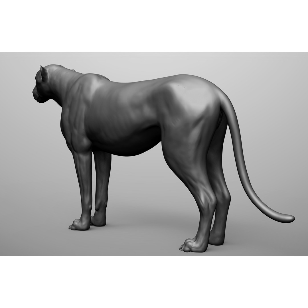 Wild Animal Collection 3D Model – Realistic Sculpted Animals, OBJ & ZTL - View 52