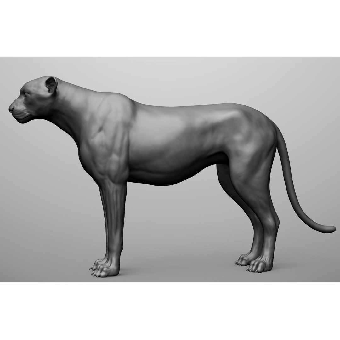 Wild Animal Collection 3D Model – Realistic Sculpted Animals, OBJ & ZTL - View 53