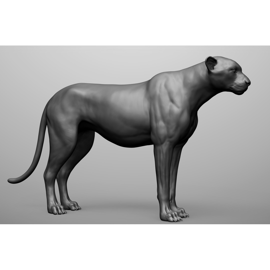 Wild Animal Collection 3D Model – Realistic Sculpted Animals, OBJ & ZTL - View 54
