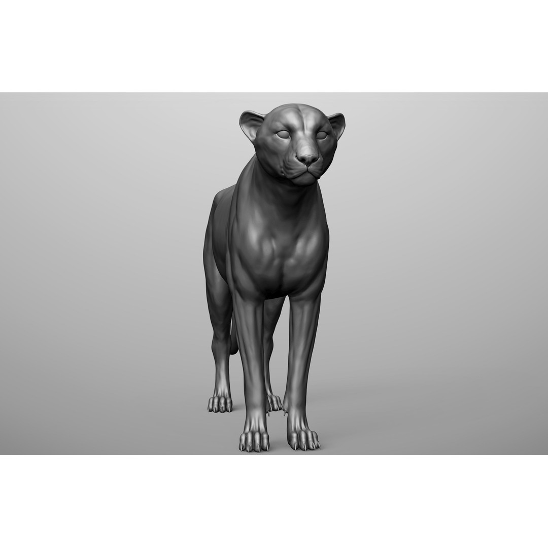 Wild Animal Collection 3D Model – Realistic Sculpted Animals, OBJ & ZTL - View 55
