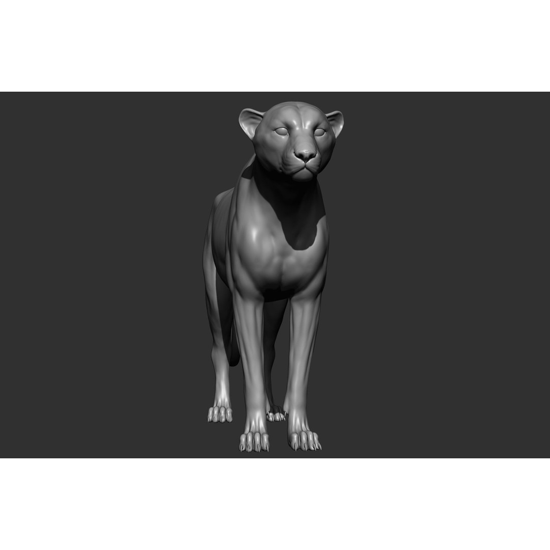 Wild Animal Collection 3D Model – Realistic Sculpted Animals, OBJ & ZTL - View 56