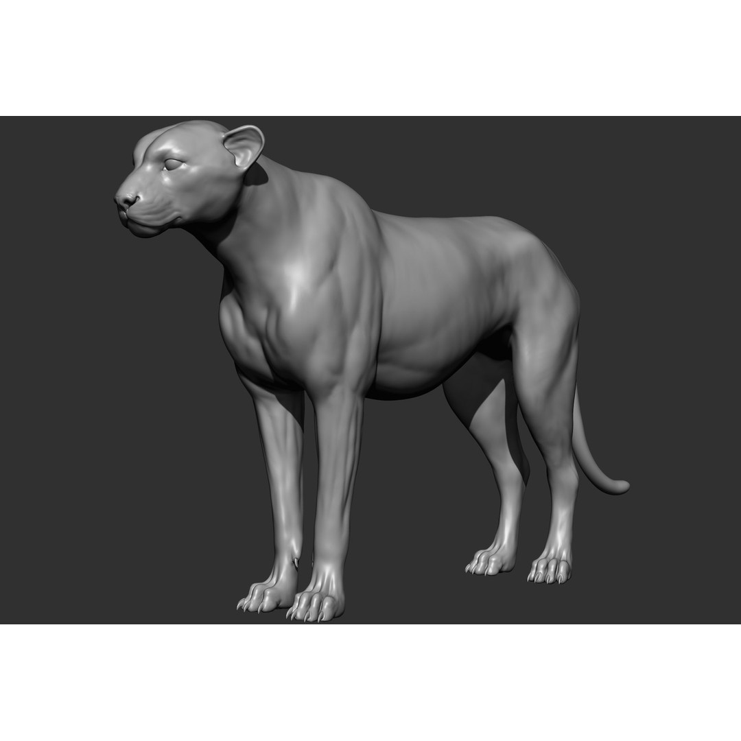 Wild Animal Collection 3D Model – Realistic Sculpted Animals, OBJ & ZTL - View 57