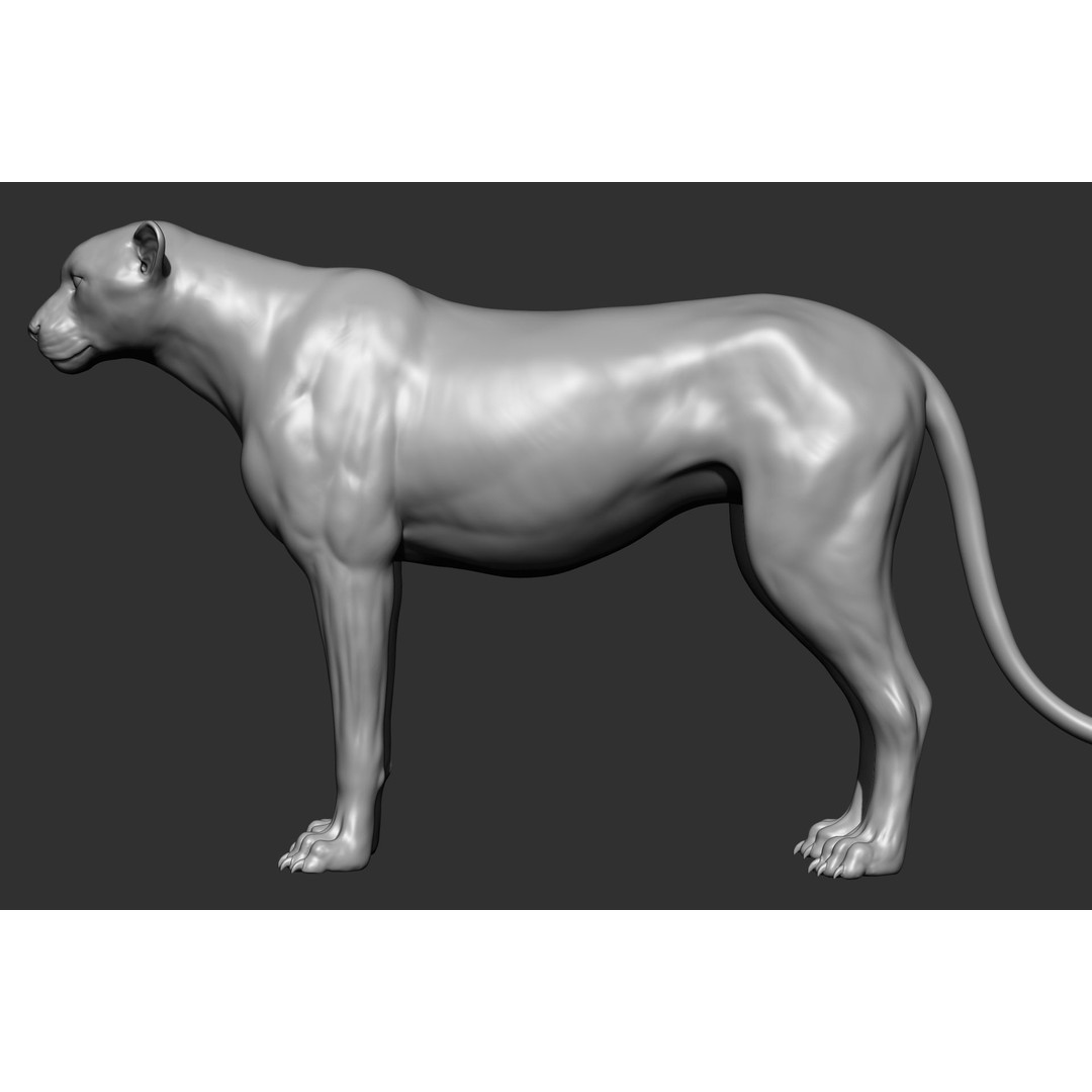 Wild Animal Collection 3D Model – Realistic Sculpted Animals, OBJ & ZTL - View 58