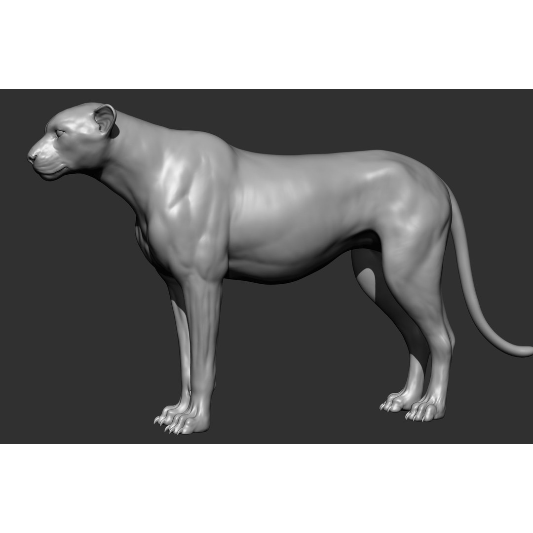 Wild Animal Collection 3D Model – Realistic Sculpted Animals, OBJ & ZTL - View 59
