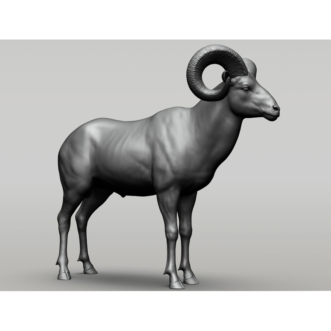 Wild Animal Collection 3D Model – Realistic Sculpted Animals, OBJ & ZTL - View 6