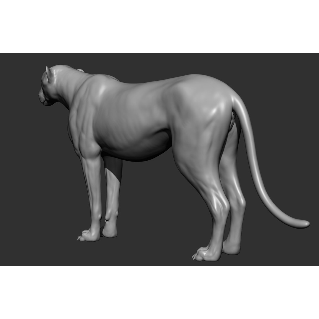 Wild Animal Collection 3D Model – Realistic Sculpted Animals, OBJ & ZTL - View 60