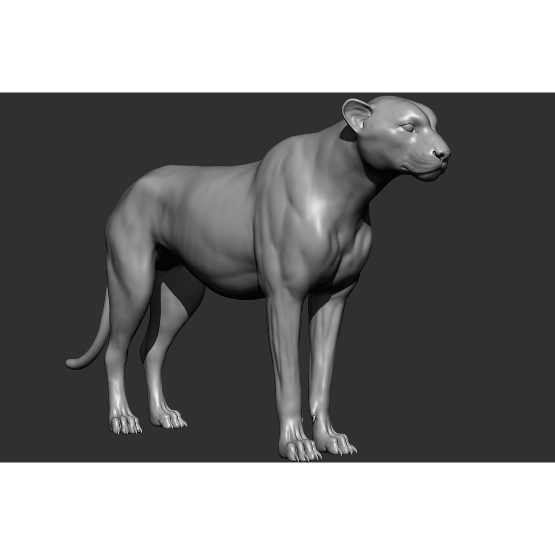 Wild Animal Collection 3D Model – Realistic Sculpted Animals, OBJ & ZTL - View 61