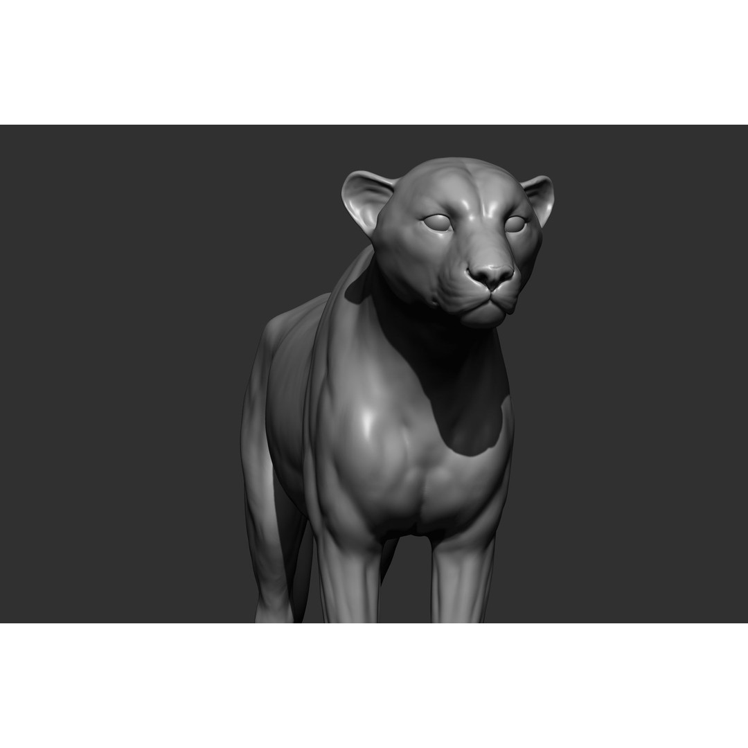 Wild Animal Collection 3D Model – Realistic Sculpted Animals, OBJ & ZTL - View 62