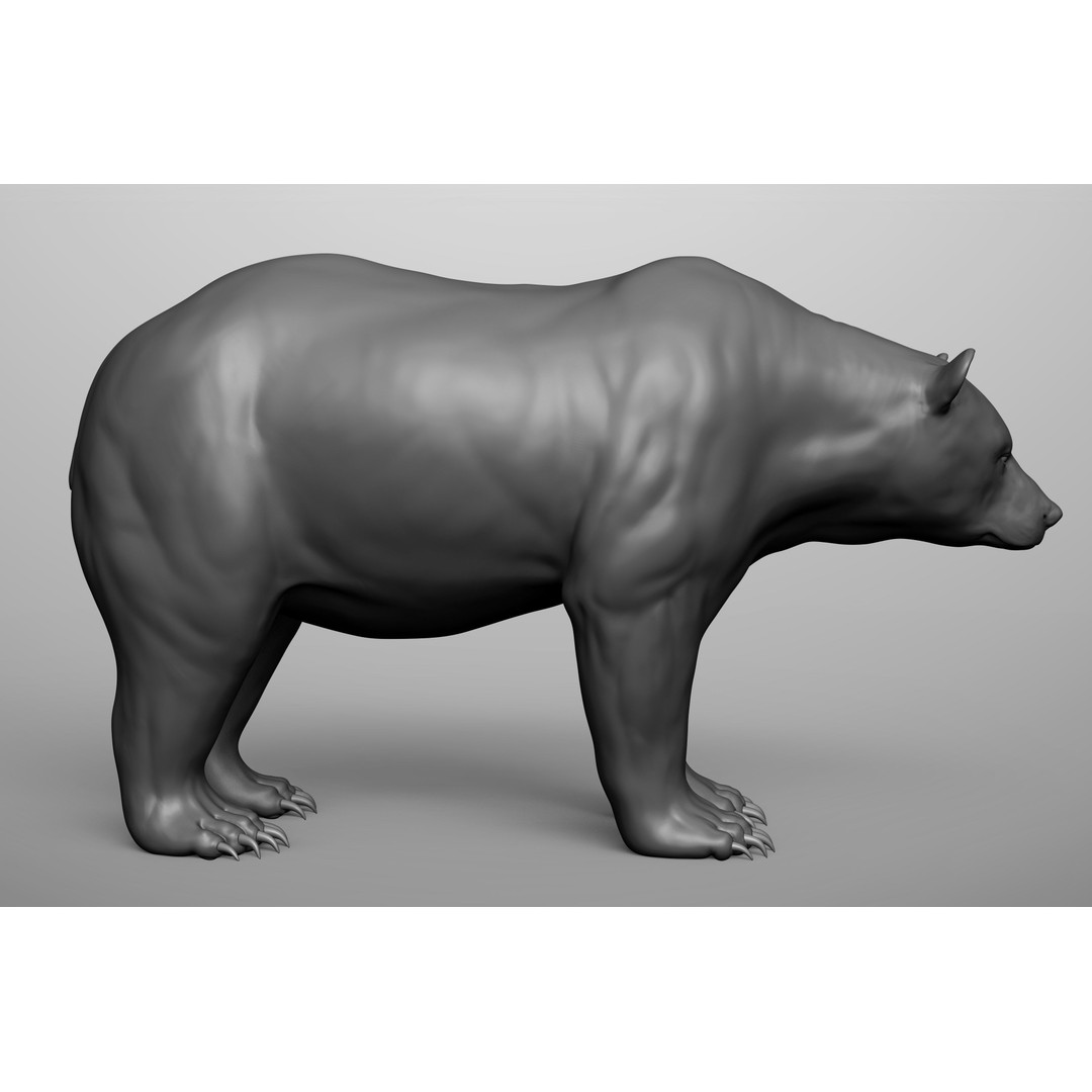 Wild Animal Collection 3D Model – Realistic Sculpted Animals, OBJ & ZTL - View 64