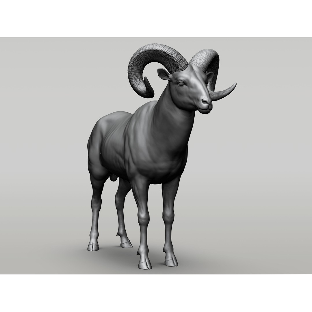 Wild Animal Collection 3D Model – Realistic Sculpted Animals, OBJ & ZTL - View 7