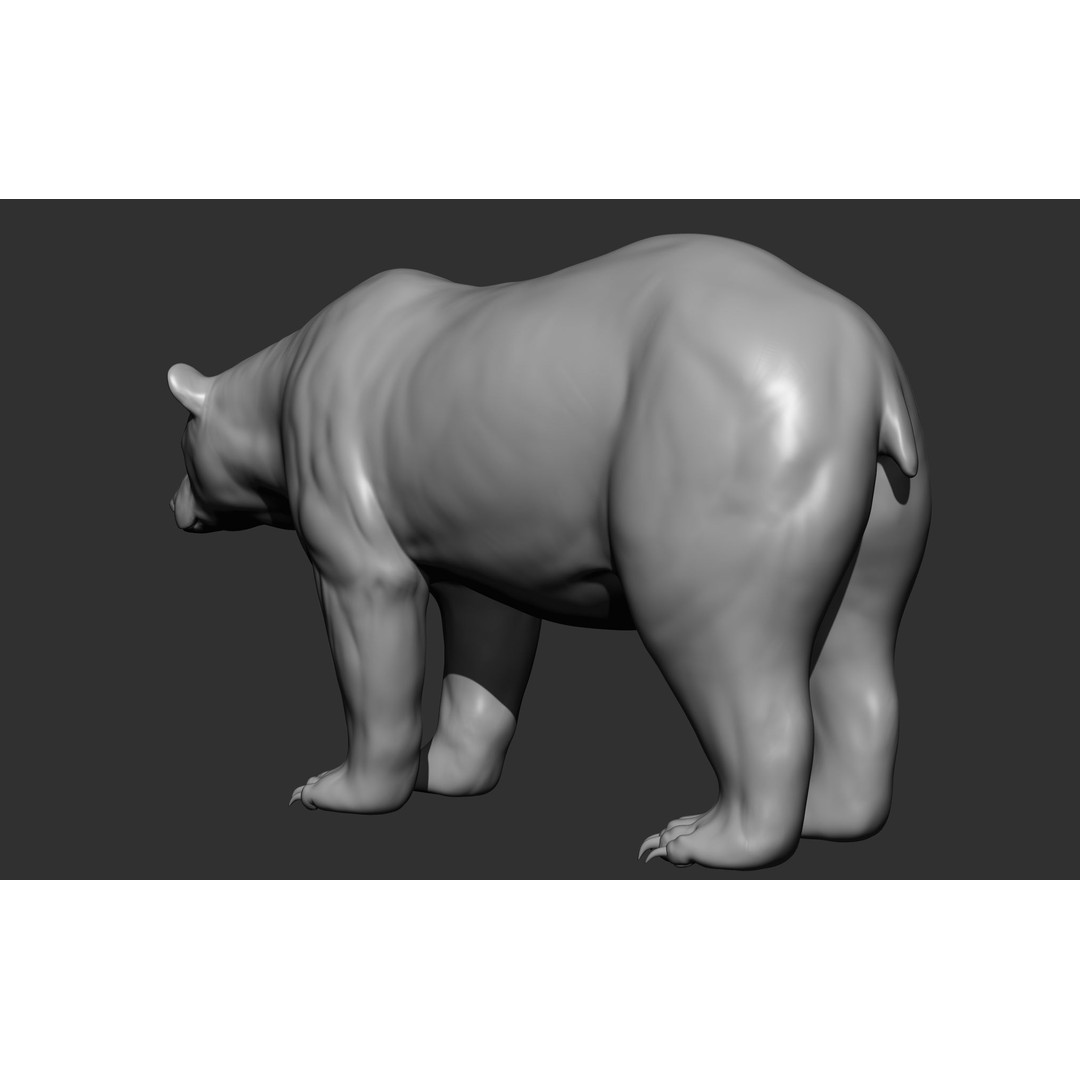 Wild Animal Collection 3D Model – Realistic Sculpted Animals, OBJ & ZTL - View 71