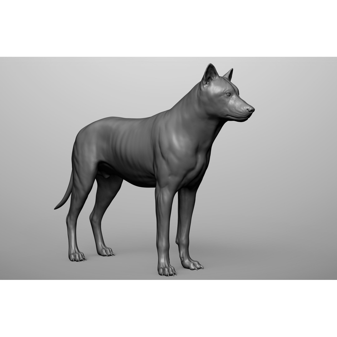 Wild Animal Collection 3D Model – Realistic Sculpted Animals, OBJ & ZTL - View 79