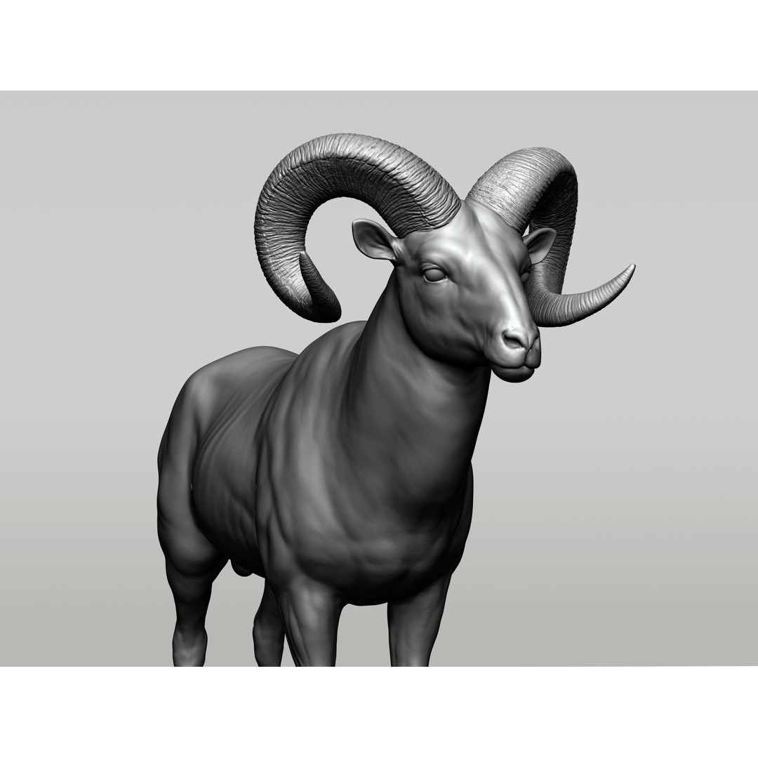 Wild Animal Collection 3D Model – Realistic Sculpted Animals, OBJ & ZTL - View 8