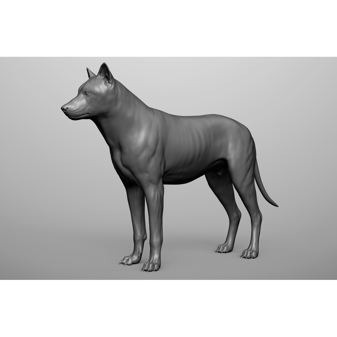 Wild Animal Collection 3D Model – Realistic Sculpted Animals, OBJ & ZTL - View 80