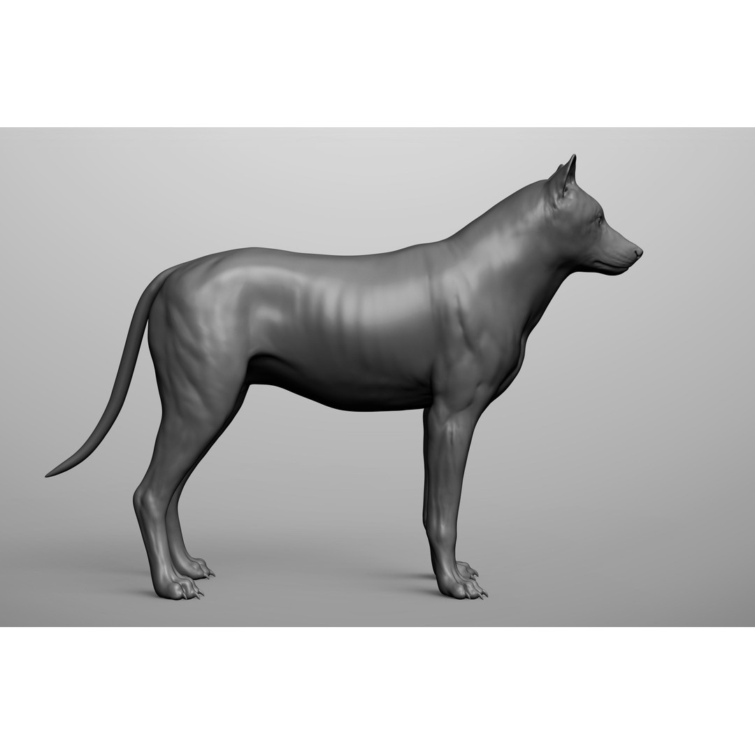 Wild Animal Collection 3D Model – Realistic Sculpted Animals, OBJ & ZTL - View 81