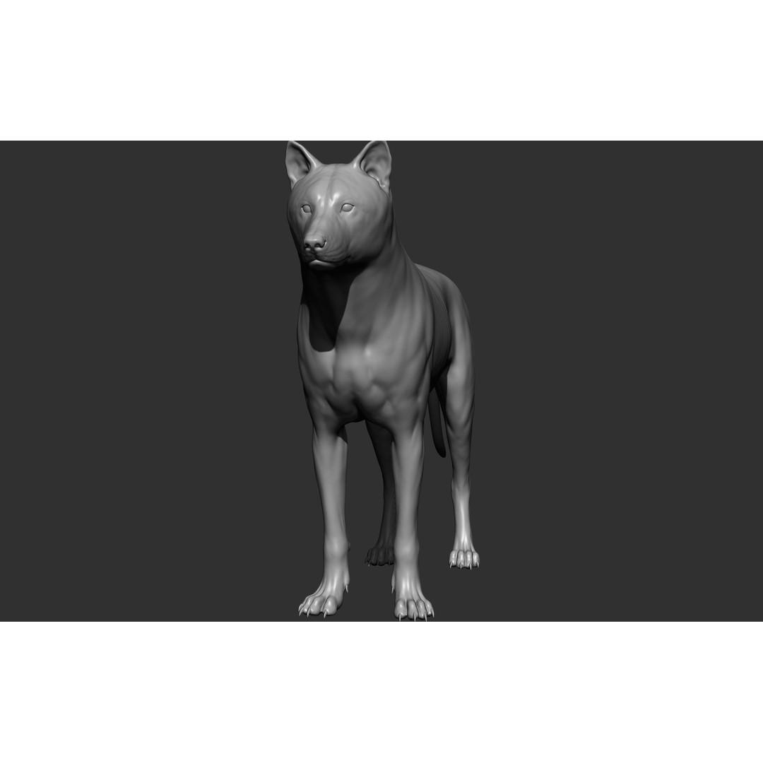 Wild Animal Collection 3D Model – Realistic Sculpted Animals, OBJ & ZTL - View 82