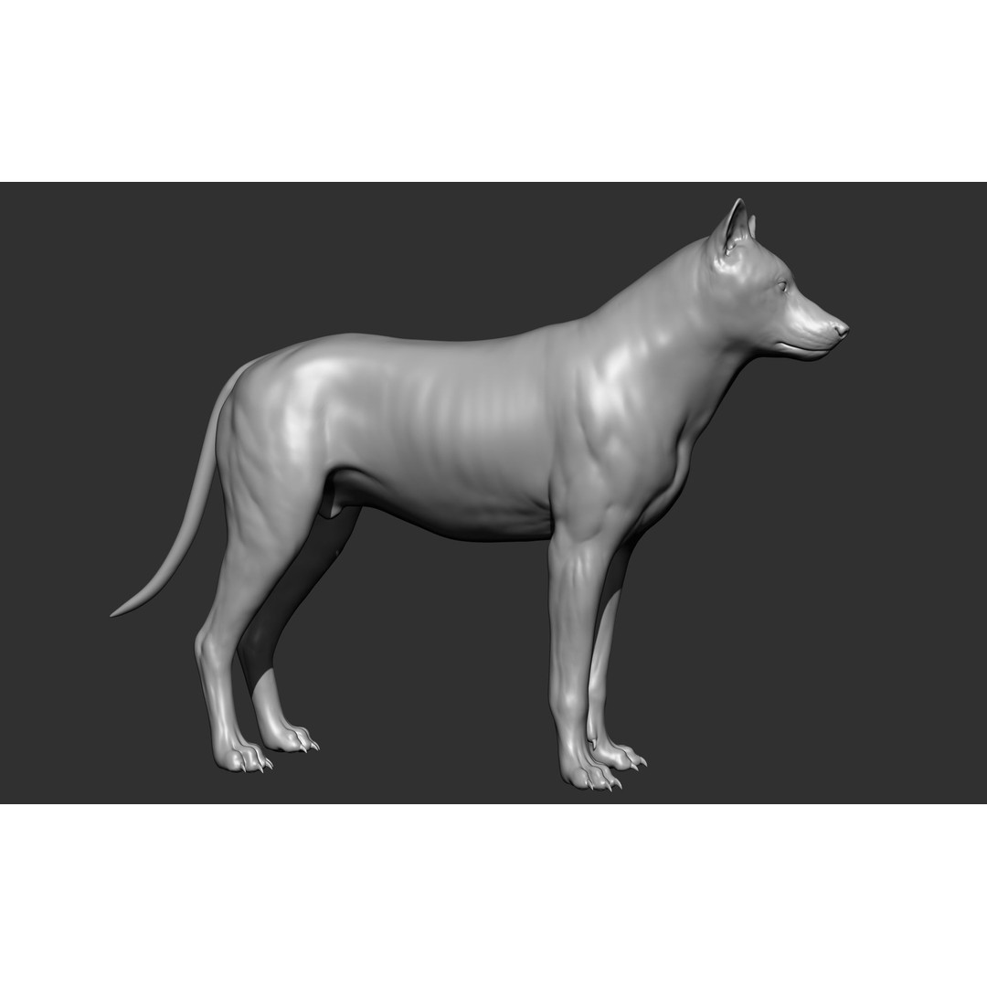Wild Animal Collection 3D Model – Realistic Sculpted Animals, OBJ & ZTL - View 83