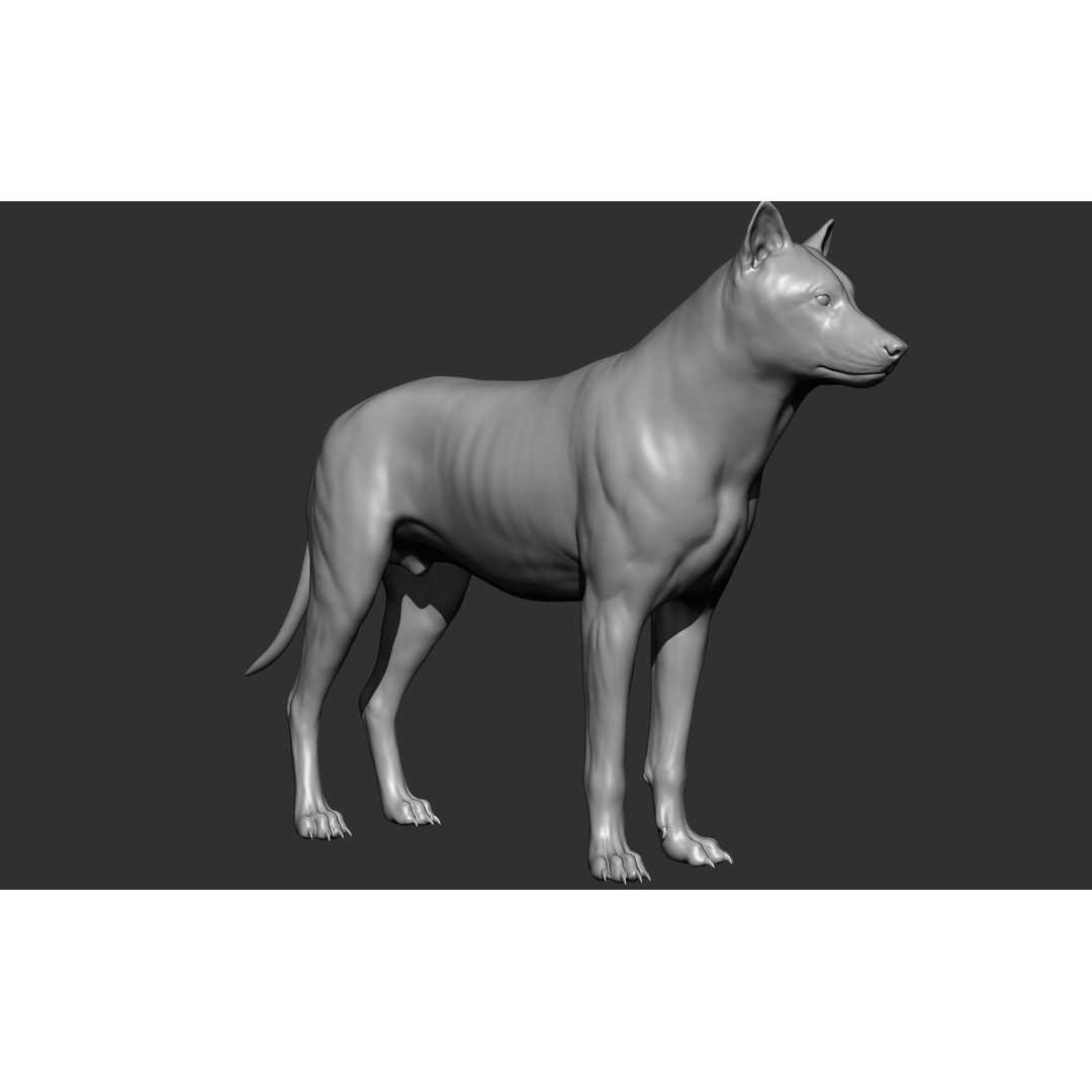 Wild Animal Collection 3D Model – Realistic Sculpted Animals, OBJ & ZTL - View 84
