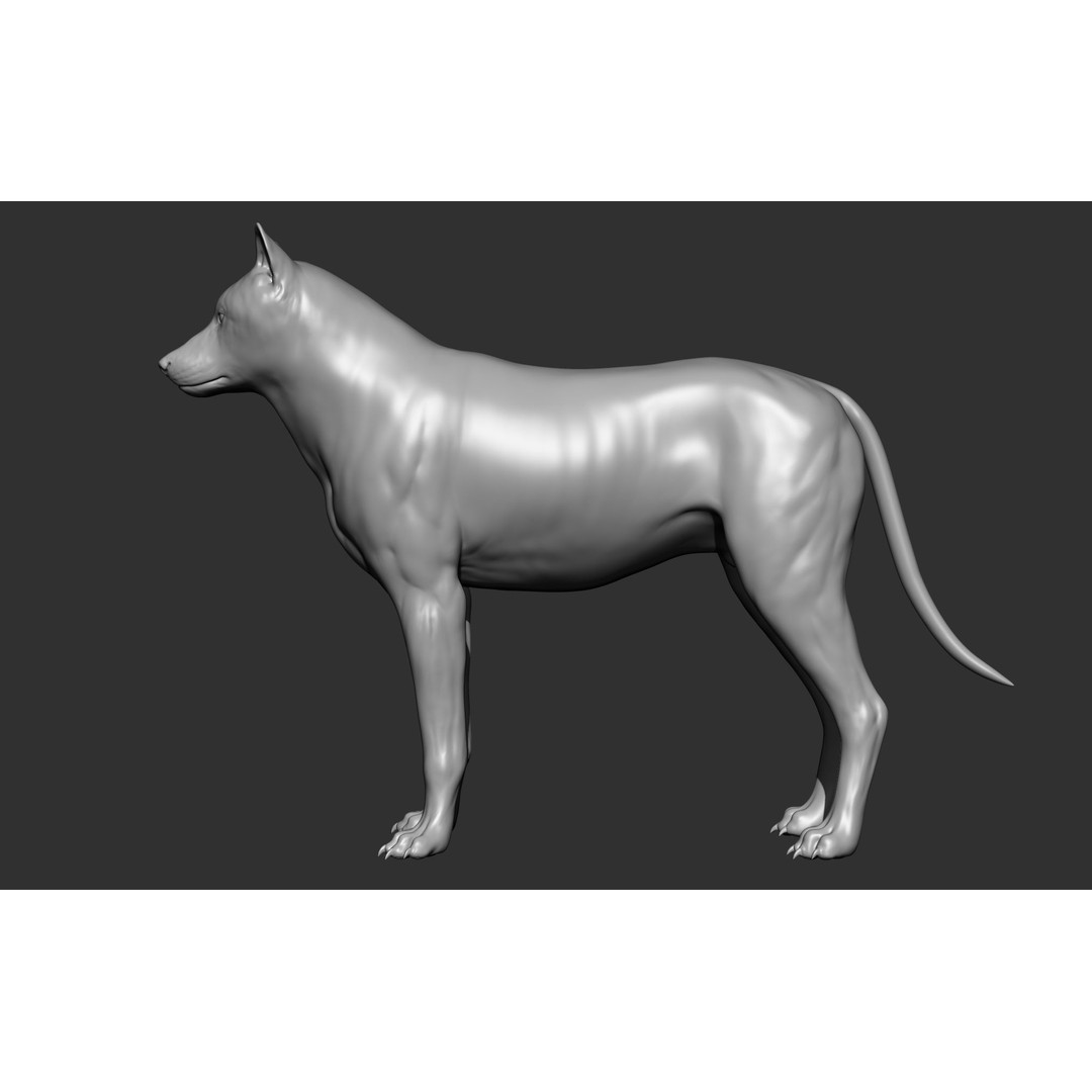 Wild Animal Collection 3D Model – Realistic Sculpted Animals, OBJ & ZTL - View 85