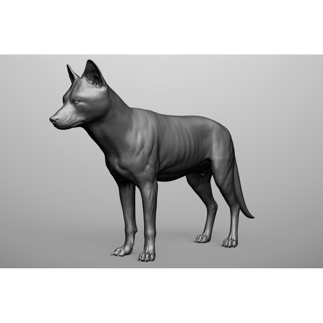 Wild Animal Collection 3D Model – Realistic Sculpted Animals, OBJ & ZTL - View 86