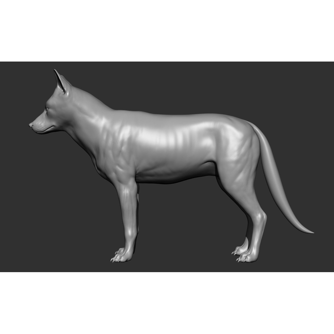 Wild Animal Collection 3D Model – Realistic Sculpted Animals, OBJ & ZTL - View 87