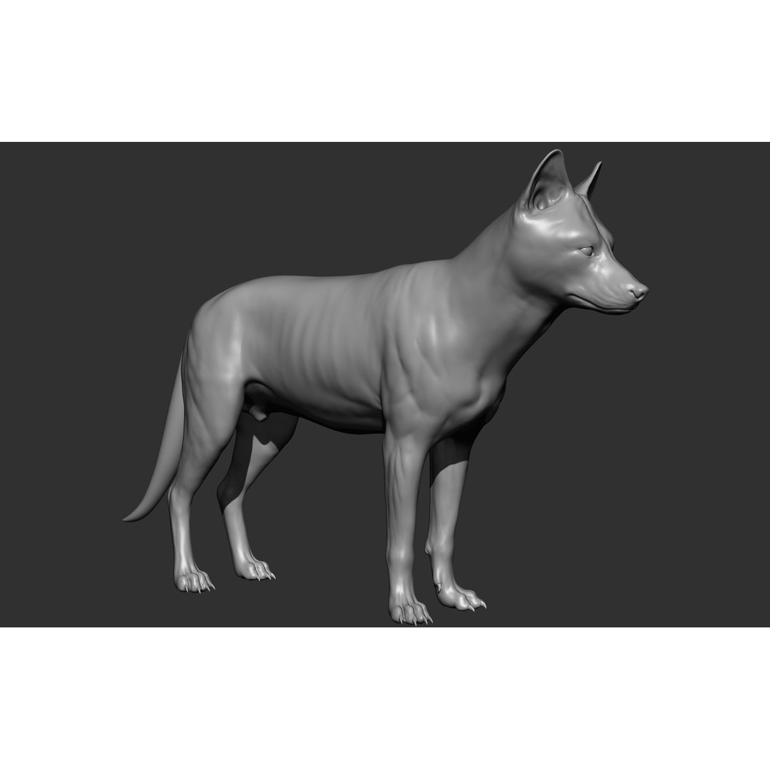 Wild Animal Collection 3D Model – Realistic Sculpted Animals, OBJ & ZTL - View 88