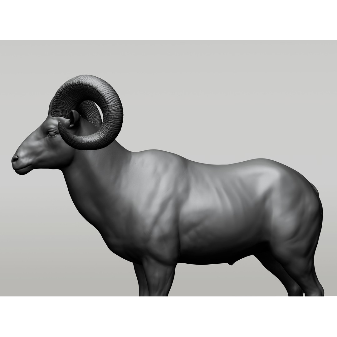 Wild Animal Collection 3D Model – Realistic Sculpted Animals, OBJ & ZTL - View 9