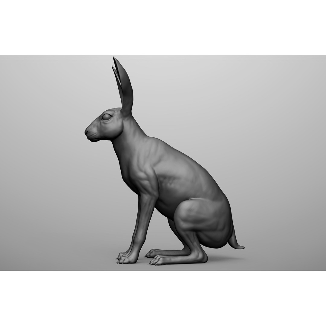 Wild Animal Collection 3D Model – Realistic Sculpted Animals, OBJ & ZTL - View 91