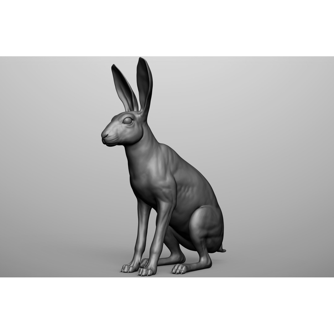 Wild Animal Collection 3D Model – Realistic Sculpted Animals, OBJ & ZTL - View 92