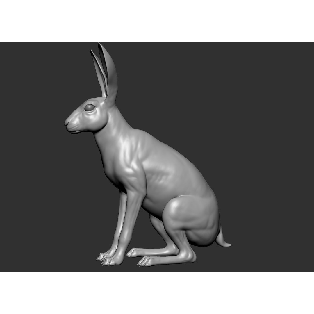 Wild Animal Collection 3D Model – Realistic Sculpted Animals, OBJ & ZTL - View 93