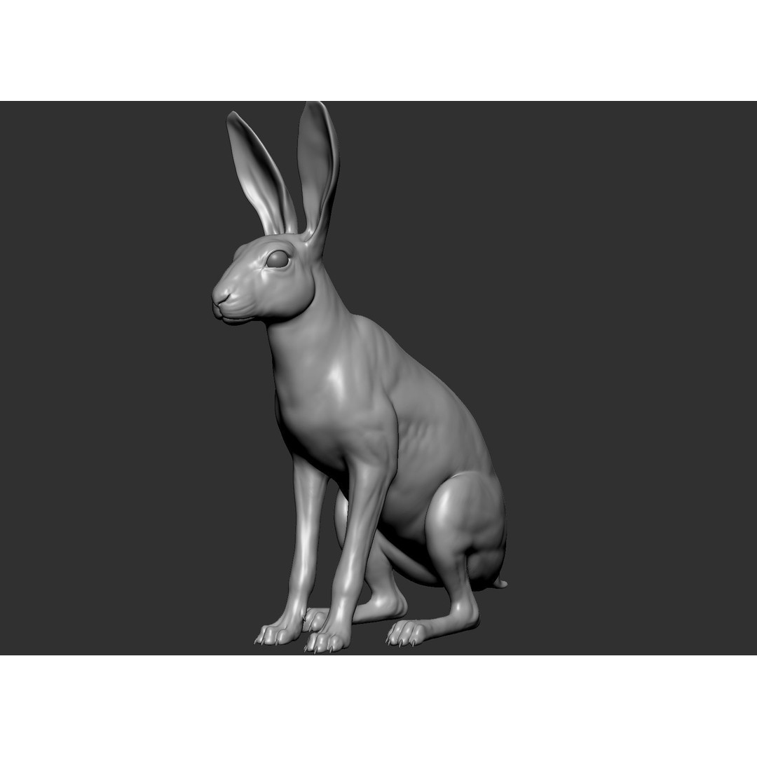 Wild Animal Collection 3D Model – Realistic Sculpted Animals, OBJ & ZTL - View 94