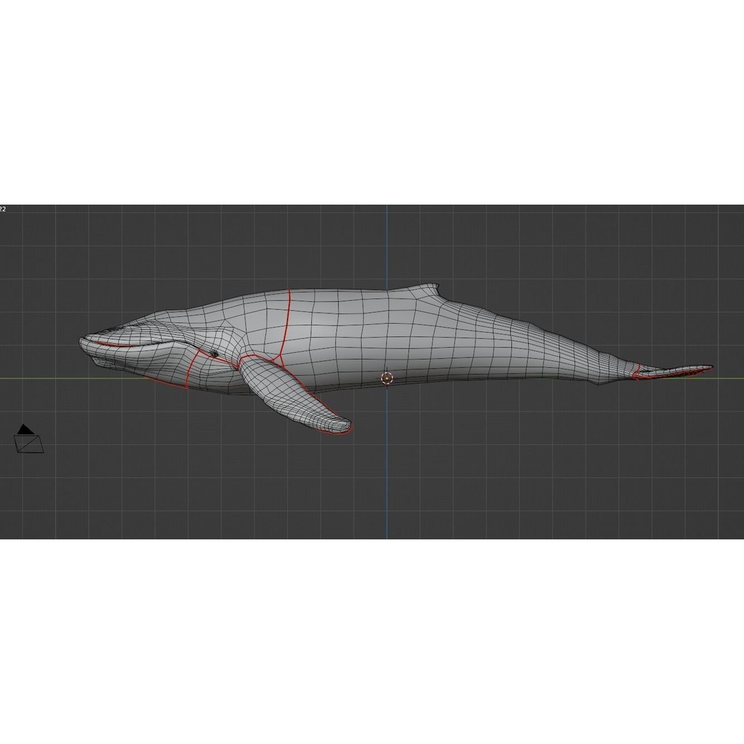Humpback Whale 3D Model – Animated Low Poly Rigged Asset, FBX - View 13