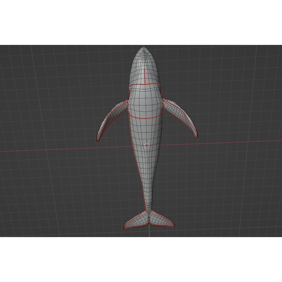 Humpback Whale 3D Model – Animated Low Poly Rigged Asset, FBX - View 14
