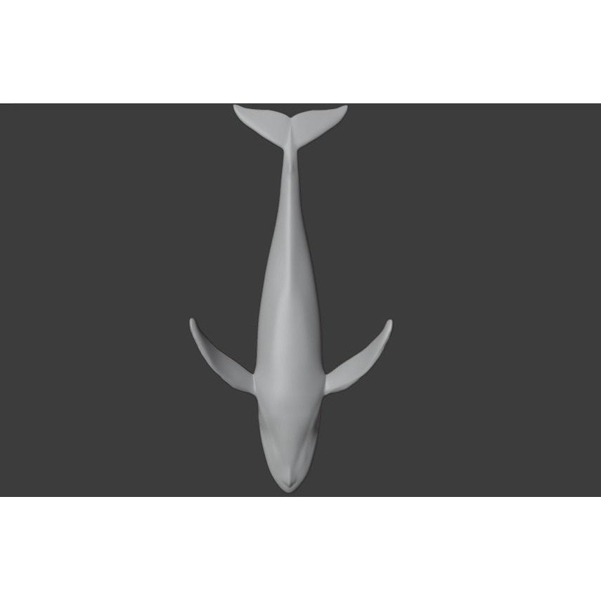 Humpback Whale 3D Model – Animated Low Poly Rigged Asset, FBX - View 17