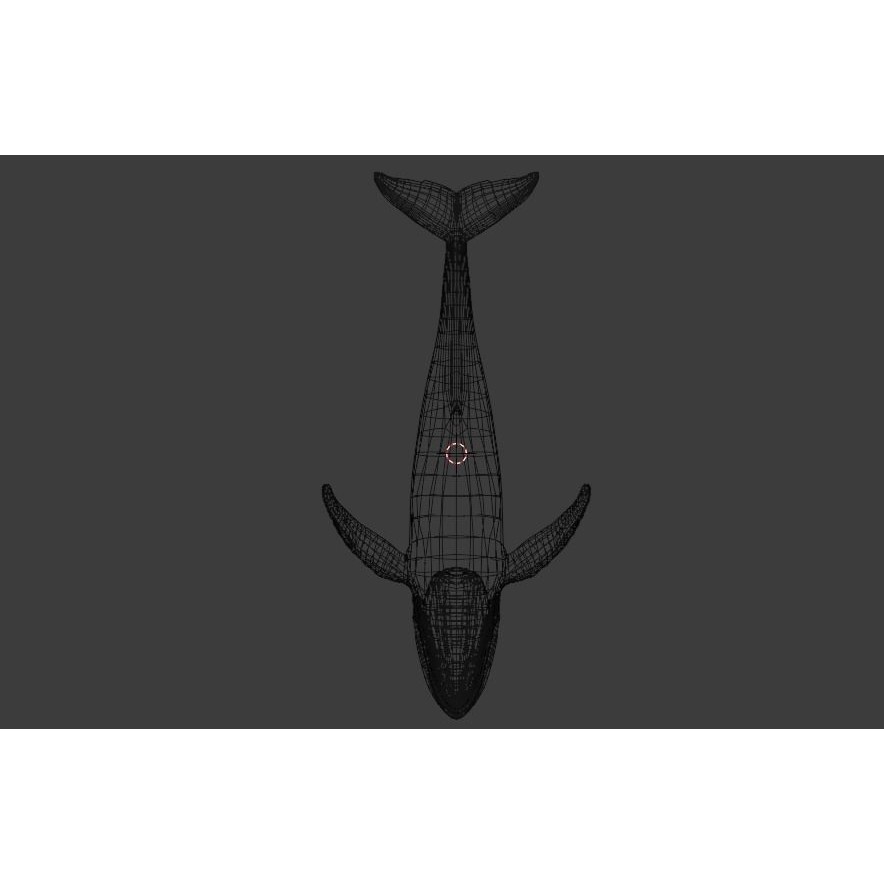 Humpback Whale 3D Model – Animated Low Poly Rigged Asset, FBX - View 25