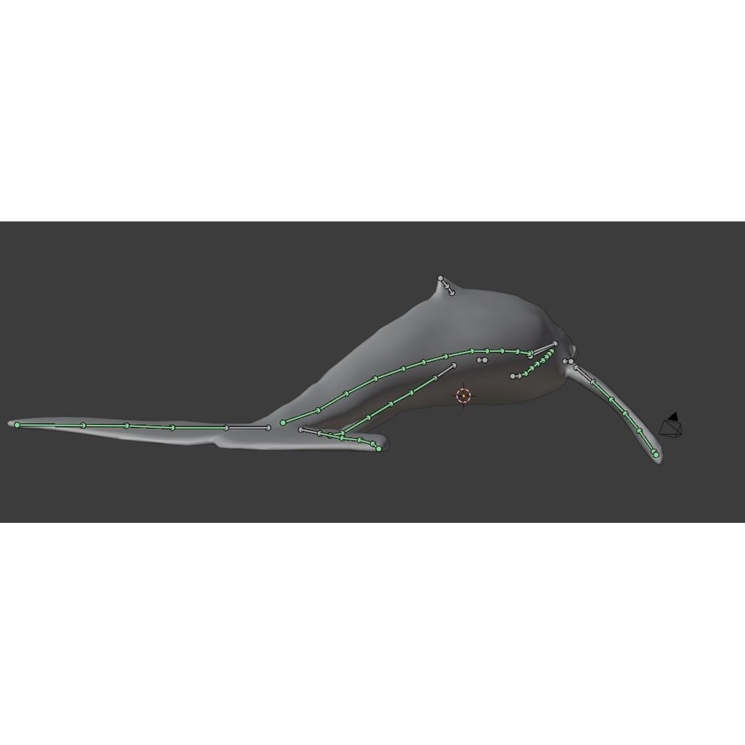 Humpback Whale 3D Model – Animated Low Poly Rigged Asset, FBX - View 26