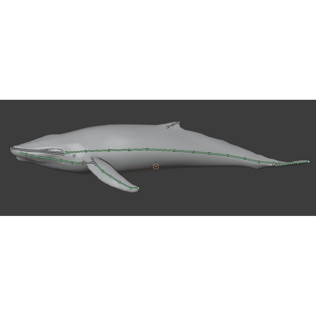 Humpback Whale 3D Model – Animated Low Poly Rigged Asset, FBX - View 27