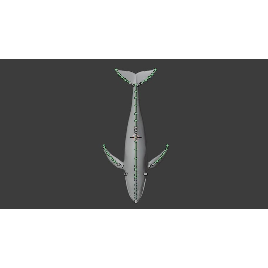 Humpback Whale 3D Model – Animated Low Poly Rigged Asset, FBX - View 28