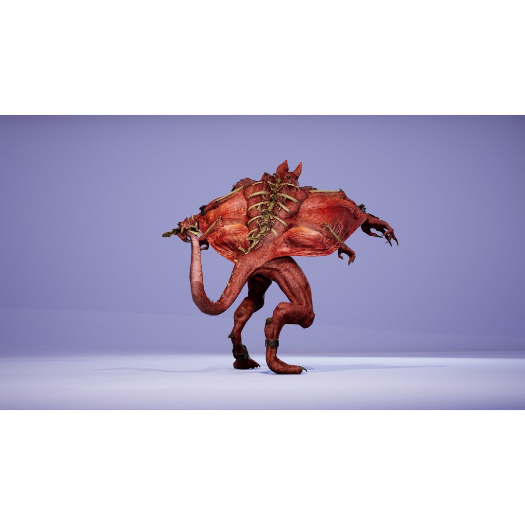 Mutant Squirrel 3D Model – Low Poly Fantasy Character with Animations - View 11