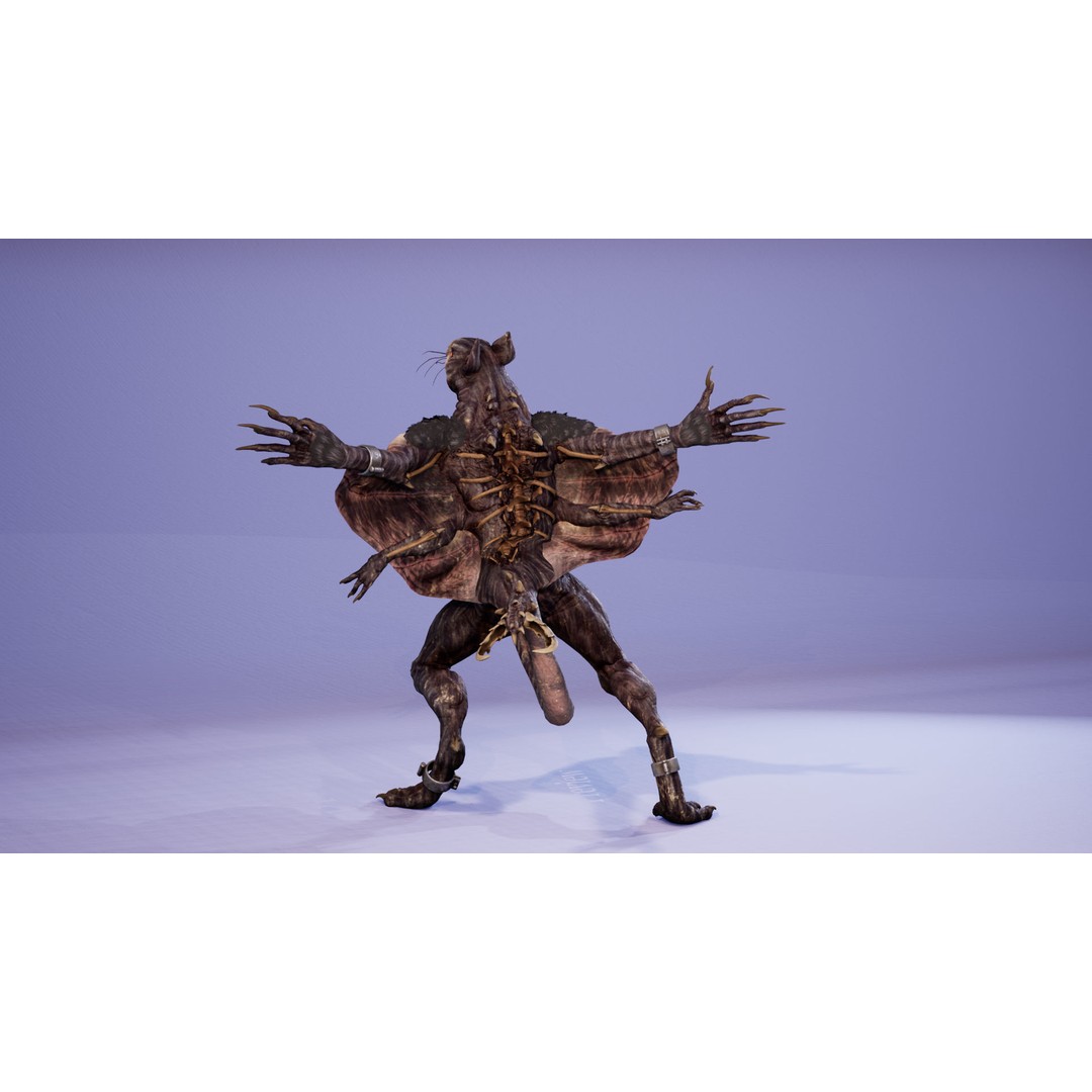 Mutant Squirrel 3D Model – Low Poly Fantasy Character with Animations - View 18