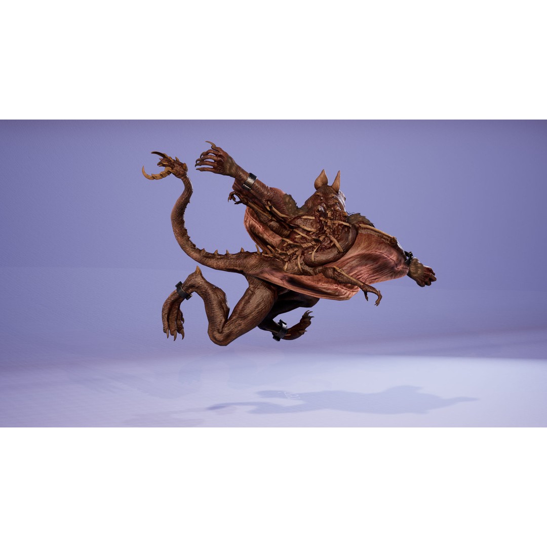 Mutant Squirrel 3D Model – Low Poly Fantasy Character with Animations - View 21