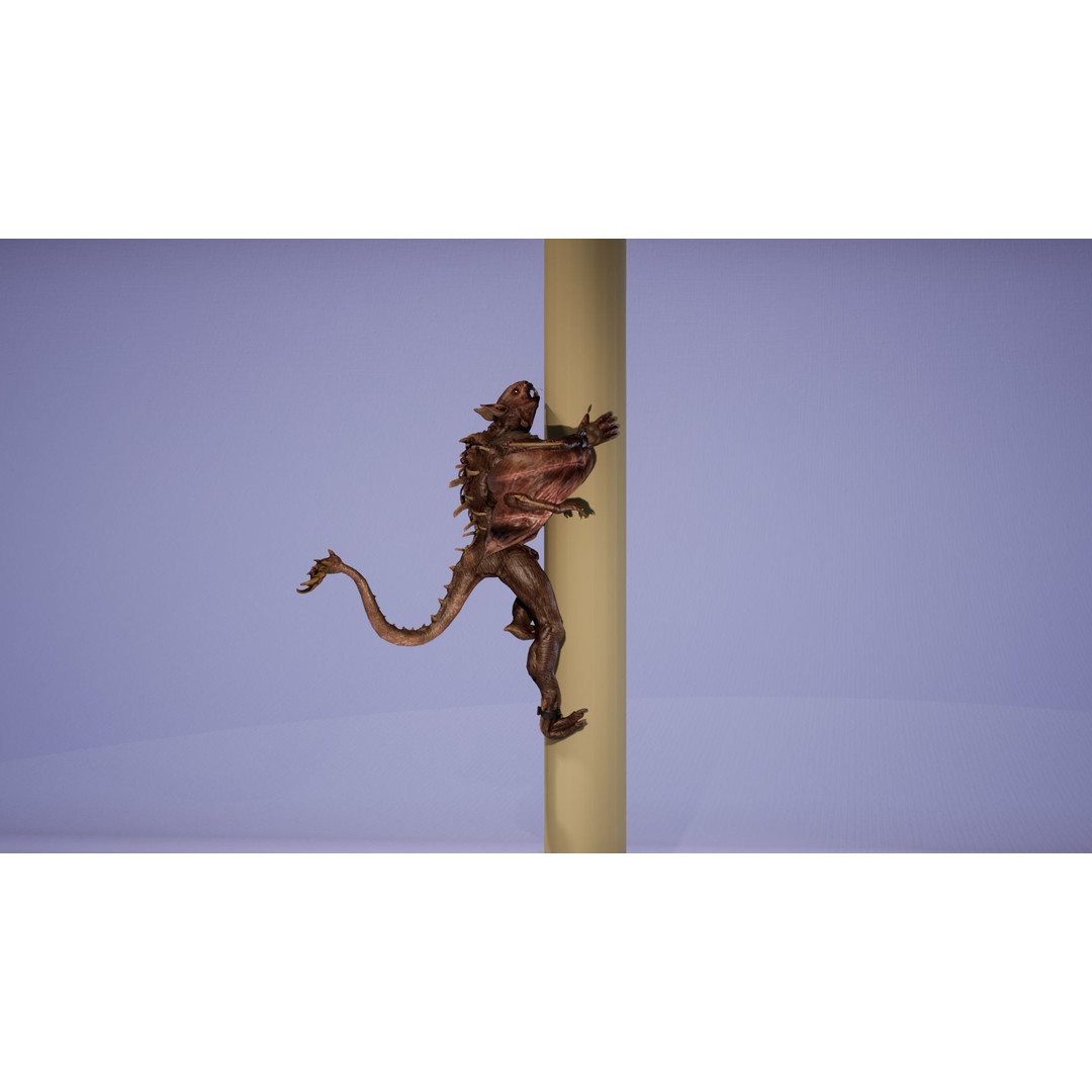 Mutant Squirrel 3D Model – Low Poly Fantasy Character with Animations - View 27